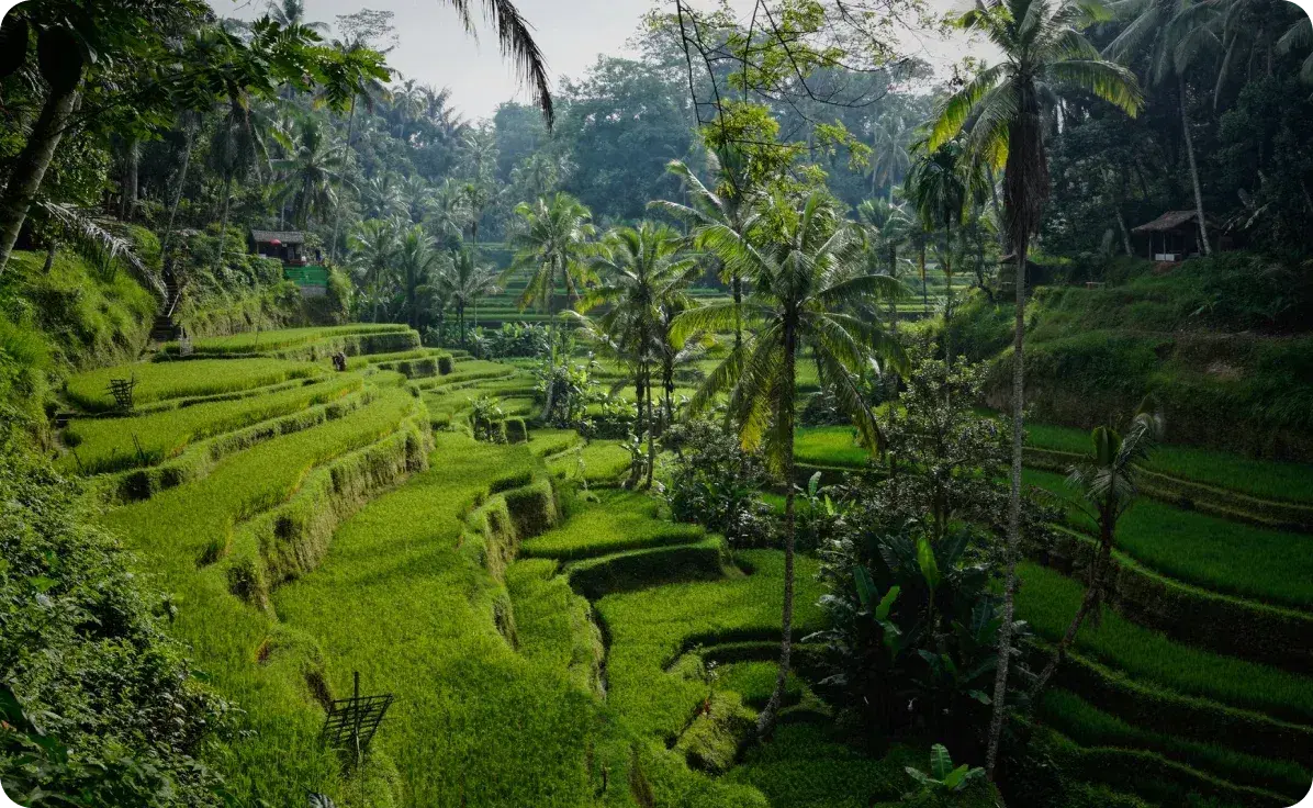 10 things you didn’t know about Bali. 
